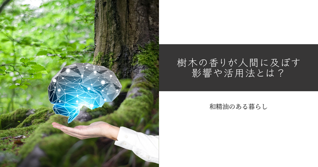 樹木の香りが人間に及ぼす影響や活用法とは?【木の香りを生かす】NPO法人才の木の講演会を聞いて