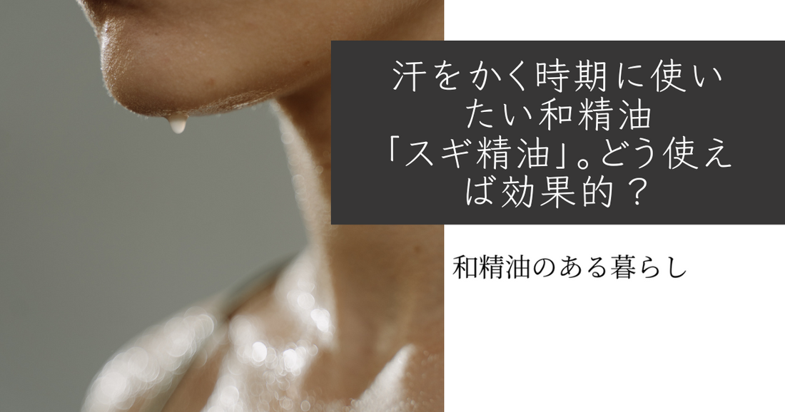 汗をかく時期に使いたい和精油「スギ精油」。どう使えば効果的? 和精油のある暮らし ブログ