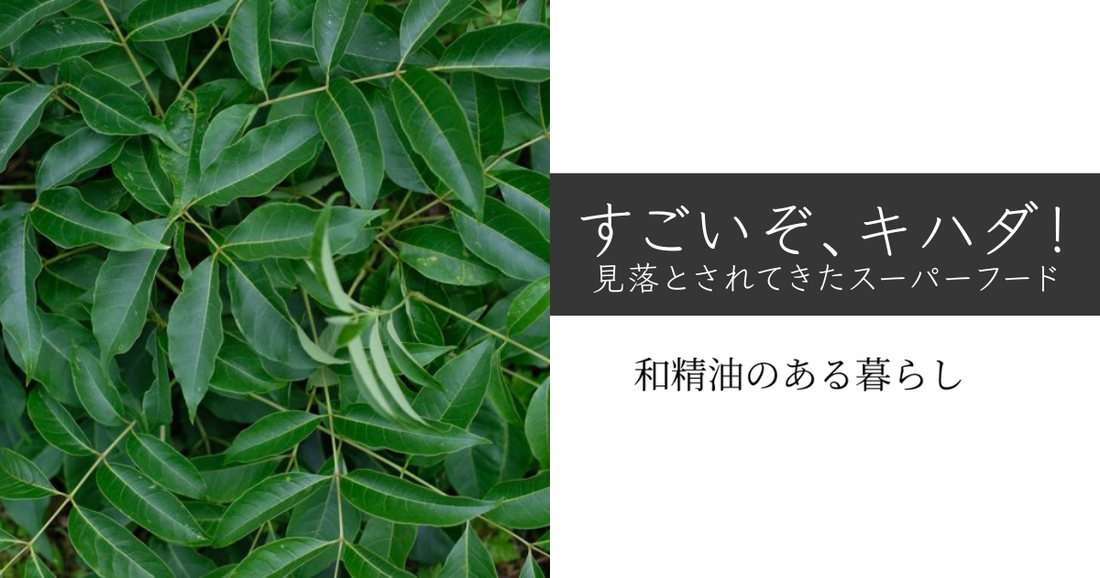 すごいぞ、キハダ!見落とされてきたスーパーフード 和精油 和精油のある暮らし ブログ