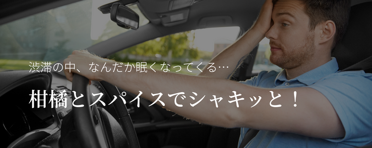 長距離ドライブにおすすめ