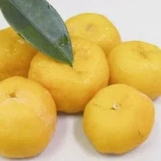 神木の果実 大和橘枠練石鹸|不老長寿の飛躍と言われた大和橘果皮エキス入り石鹸|ポニーの里|奈良県 和精油のある暮らし
