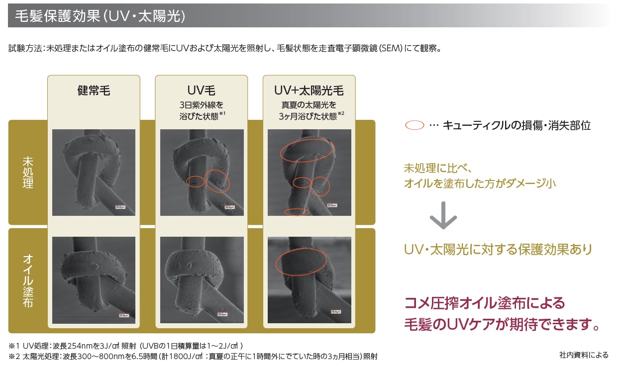 純国産プレミアムライスブランオイル|ノンケミカル製法で精製した自然由来の美容オイル|Renati tura(徳島県)和精油のある暮らし キャリアオイル