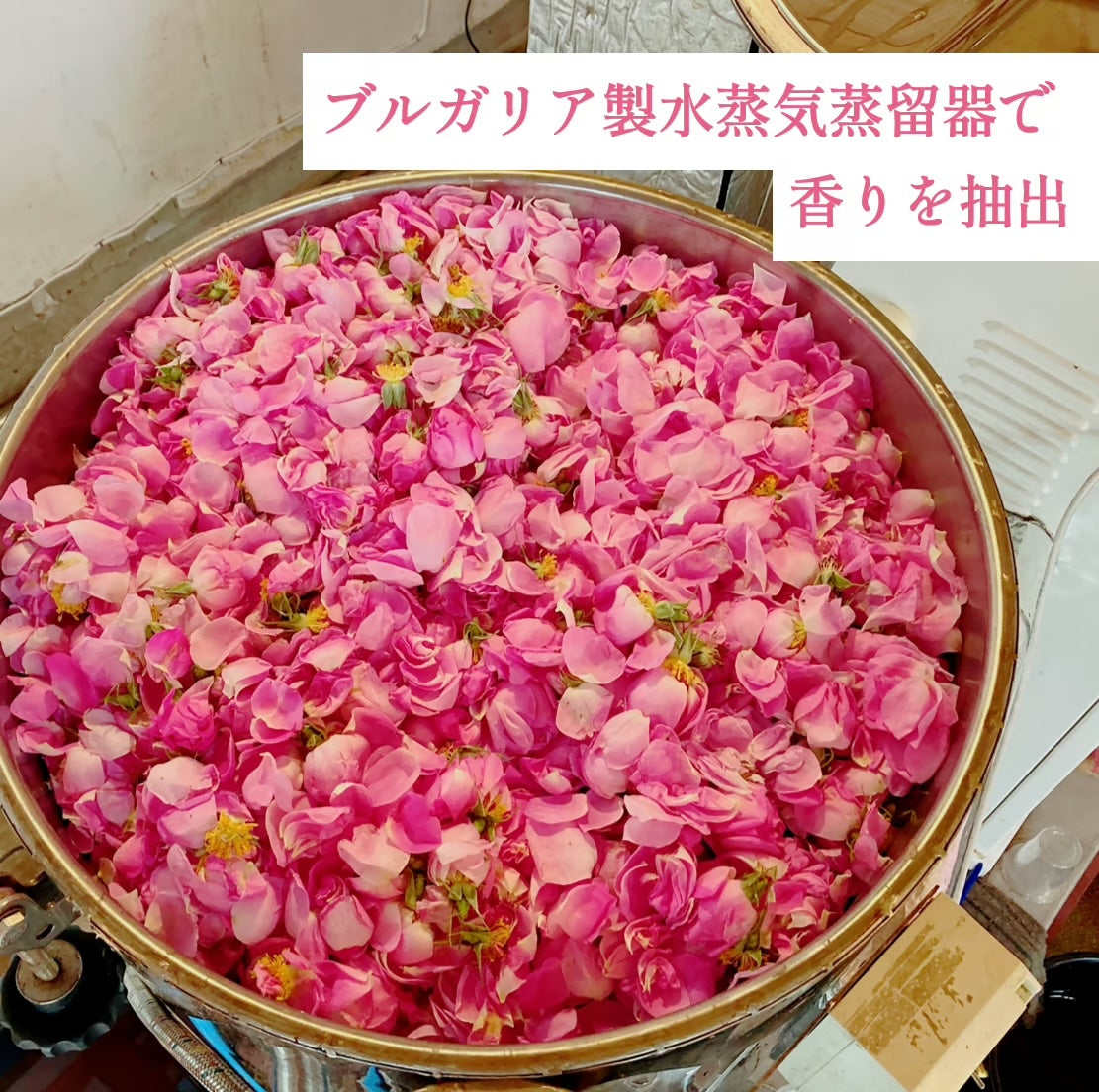 国産ローズウォーター アロマスプレー 100ml|本場ブルガリアから高評価を得た薔薇の香り|山形薔薇蒸留所(山形県) 和精油のある暮らし