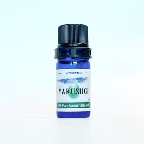 和精油 屋久杉精油 ５ml｜樹齢1000年以上！自然遺産の貴重な香り｜屋久