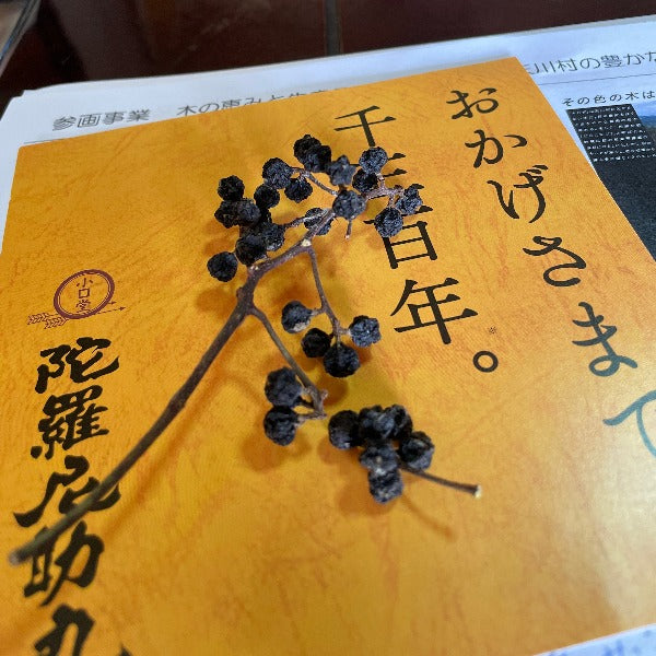 湧き水のキハダコーラ|あの「陀羅尼助丸」をモチーフとしたご当地クラフトコーラ|ポニーの里ファーム|奈良県 和精油のある暮らし