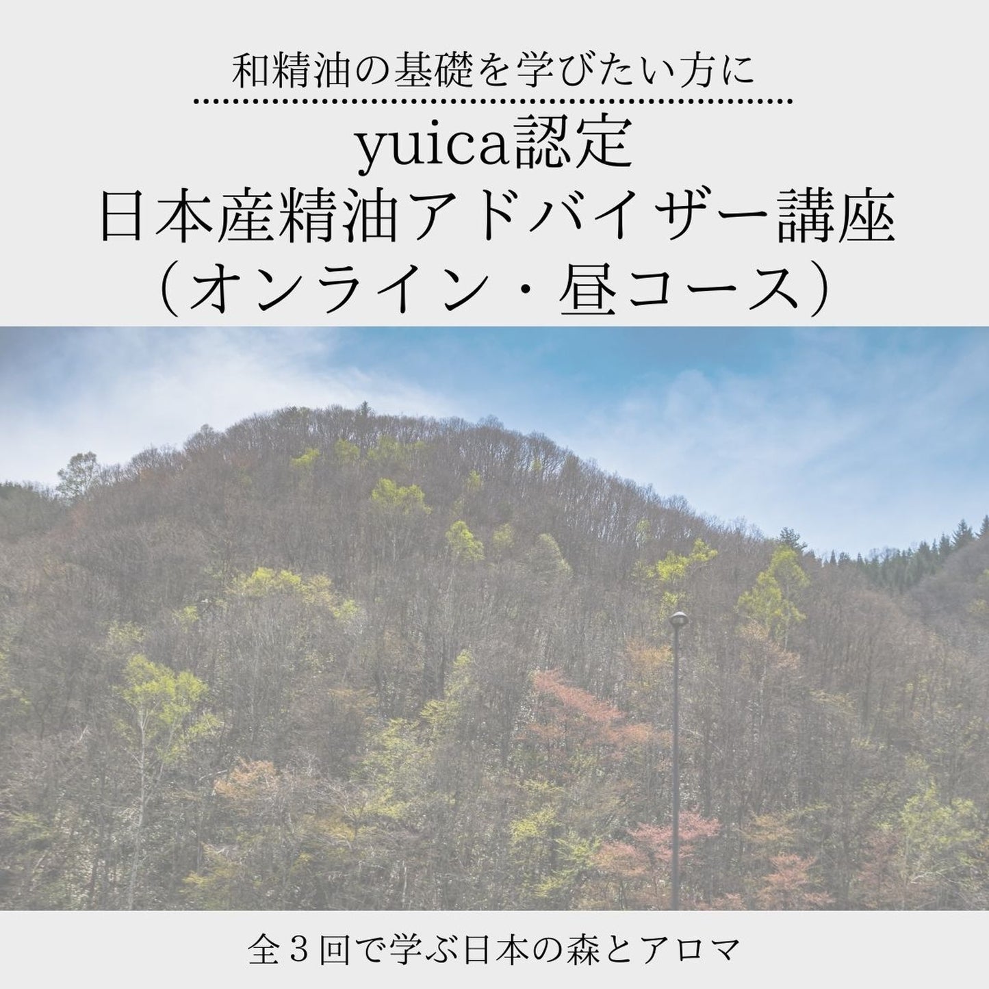 【昼コース】MUSE NESTオリジナルyuica認定 日本産精油アドバイザー講座(全3回・1回約3時間/認定資格取得レッスン) - 和精油のある暮らし