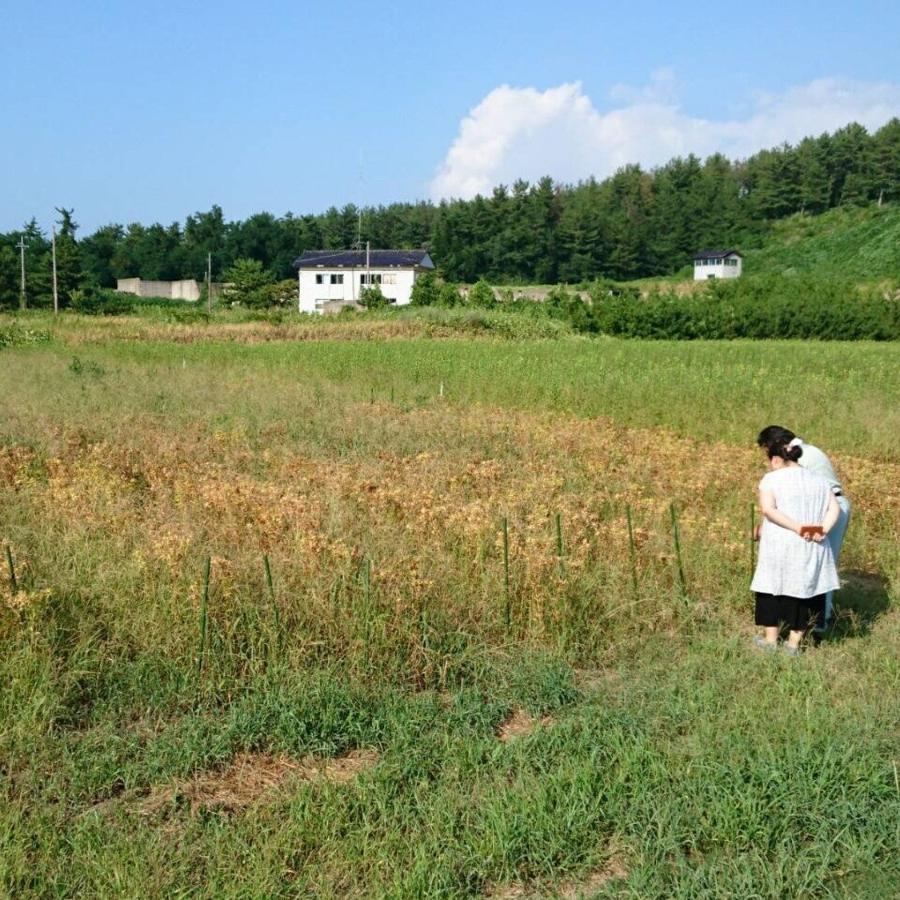 大きめサイズでお腹やお尻をしっかり温める/和音香 お腹用パッド/W*ARoMa HERB(ワロマハーブ)【東京都】 - 和精油のある暮らし