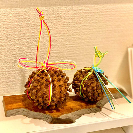 【オンラインワークショップ】疫病退散!ゆずポマンダー - 和精油のある暮らし