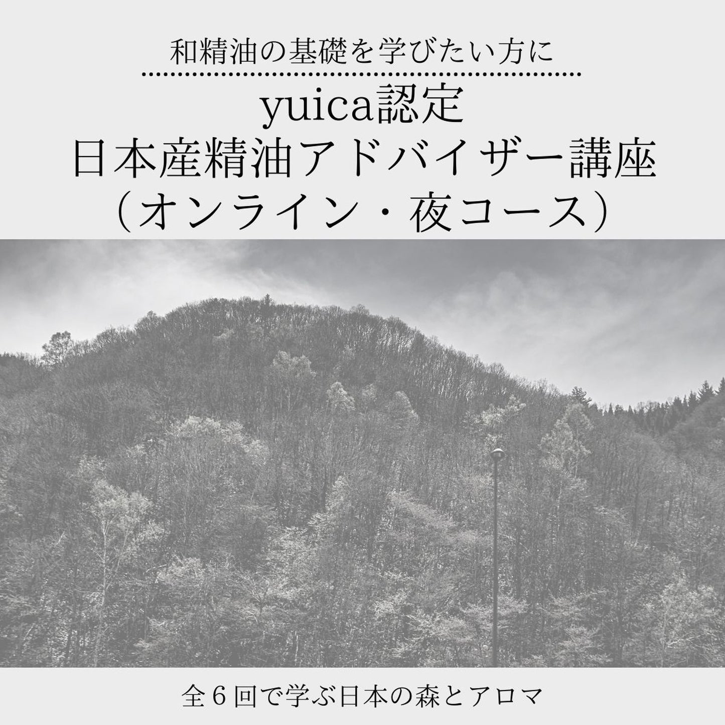 【夜6回コース】MUSE NESTオリジナルyuica認定 日本産精油アドバイザー講座(全6回・1回約90分/認定資格取得レッスン) - 和精油のある暮らし