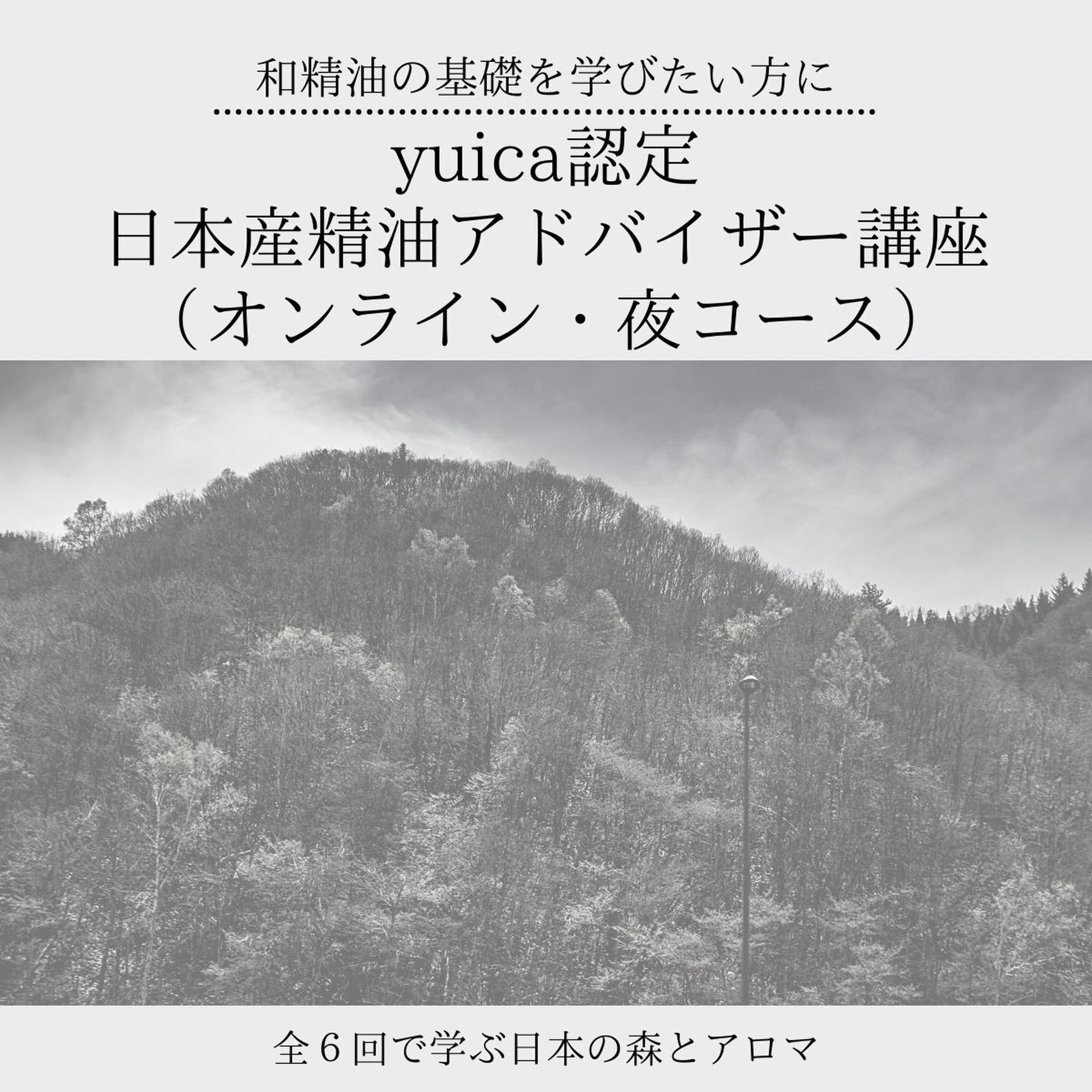 【夜6回コース】MUSE NESTオリジナルyuica認定 日本産精油アドバイザー講座(全6回・1回約90分/認定資格取得レッスン) - 和精油のある暮らし