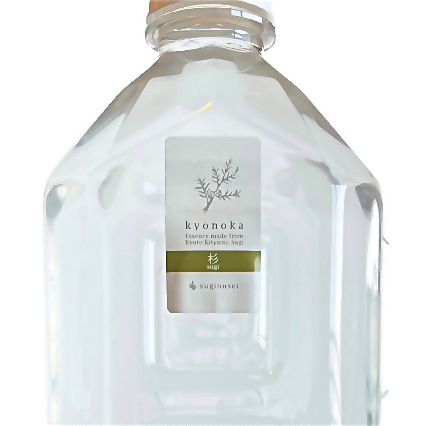 すっきり消臭や家事に使いやすいフローラルウォーター/スギ 大容量1000ml/杉乃精【京都府】 - 和精油のある暮らし