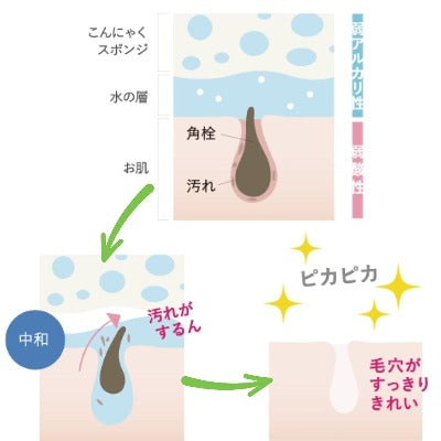 こんにゃくスポンジKOMACHI 山本農場 和精油のある暮らし