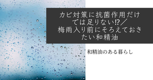 カビ対策に抗菌作用だけでは足りない⁉️／梅雨入り前にそろえておきたい和精油