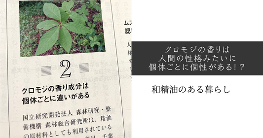 クロモジの香りは人間の性格みたいに個体ごとに個性がある！？　和精油のある暮らし　ブログ