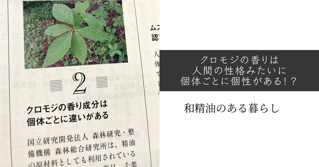 クロモジの香りは人間の性格みたいに個体ごとに個性がある！？