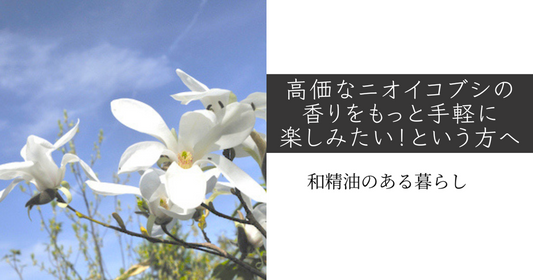 高価なニオイコブシの香りをもっと手軽に楽しみたい！という方へ　和精油のある暮らし　ブログ