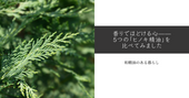 香りでほどける心——5つの「ヒノキ精油」を比べてみました 和精油のある暮らしブログ