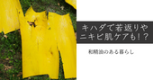 キハダで若返りやニキビ肌ケアも!? 和精油のある暮らし ブログ
