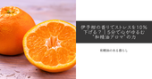 伊予柑の香りでストレスを10％下げる？｜5分で心がゆるむ“和精油アロマ”の力　和精油のある暮らしをかなえるブログ