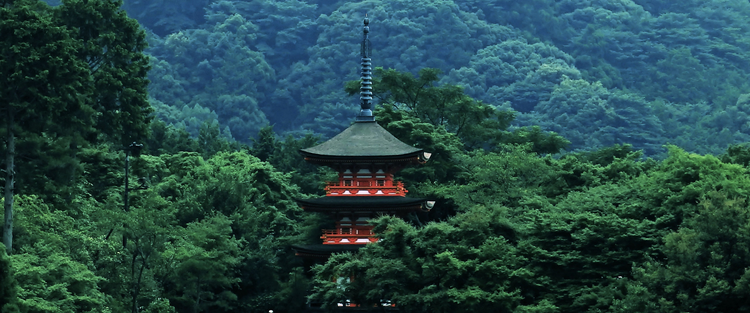 森林系・樹木系の香り　和精油のある暮らし