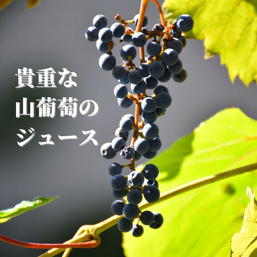 Get through the day with the blessings of wild grapes / Japanese Wild Grape Beauty &amp; Energy / amritara [Tokyo]