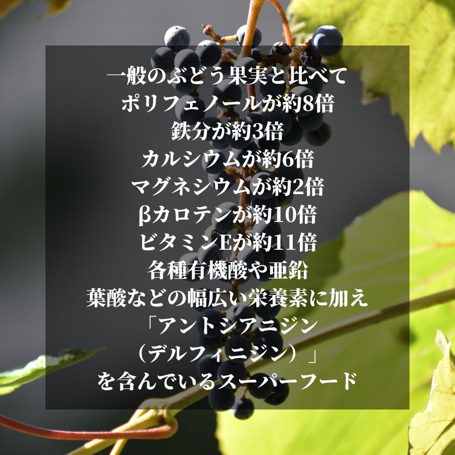 Get through the day with the blessings of wild grapes / Japanese Wild Grape Beauty &amp; Energy / amritara [Tokyo]