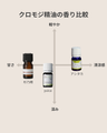 和精油ミニボトル2本、黒色と透明ボトルのキャップ付き