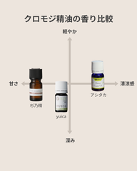 和精油ミニボトル2本、黒色と透明ボトルのキャップ付き