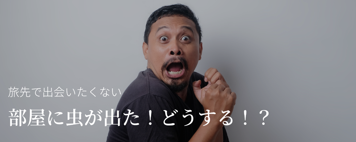 部屋に虫が出た！どうする！？