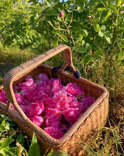 国産ローズ精油 1ml｜”香りの女王”ダマスクローズから得られるローズ・オットー｜山形薔薇蒸留所（山形県）