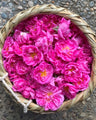 ピンクのバラの花が籐のかごに敷き詰められた様子
