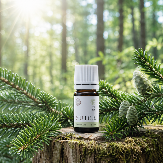 Japanese essential oil Fir (fir, branches and leaves) | No. 1 refreshing degree among conifers | yuica | Gifu Prefecture