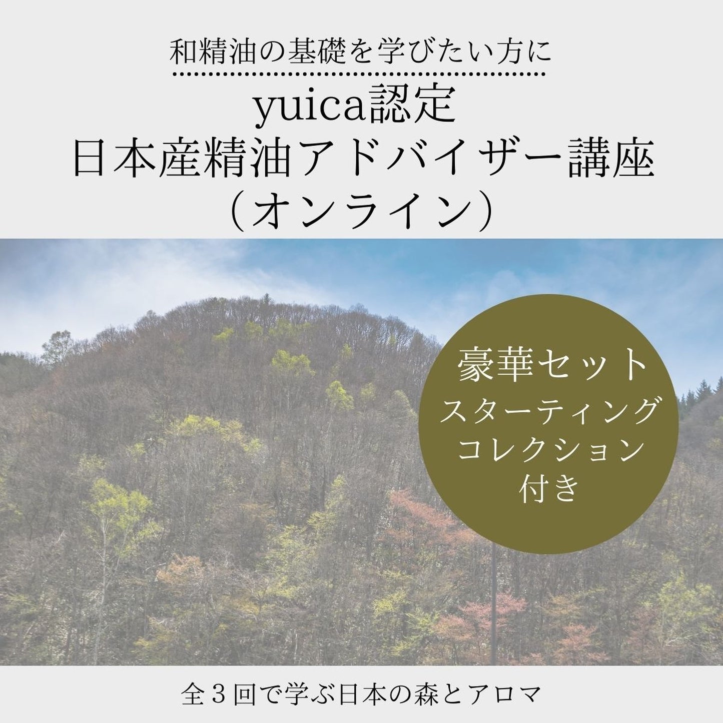 【夜6回コース】MUSE NESTオリジナルyuica認定 日本産精油アドバイザー講座（全６回・１回約９０分／認定資格取得レッスン／yuicaスターティングコレクション） - 和精油のある暮らし