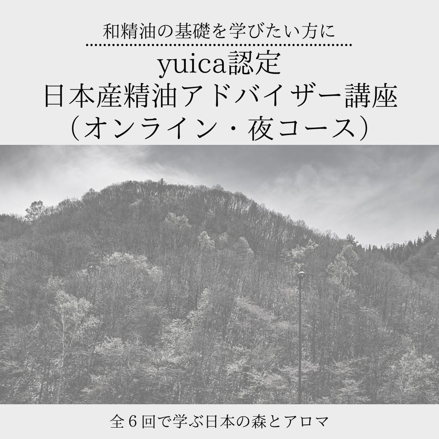 【夜6回コース】MUSE NESTオリジナルyuica認定 日本産精油アドバイザー講座（全６回・１回約９０分／認定資格取得レッスン） - 和精油のある暮らし