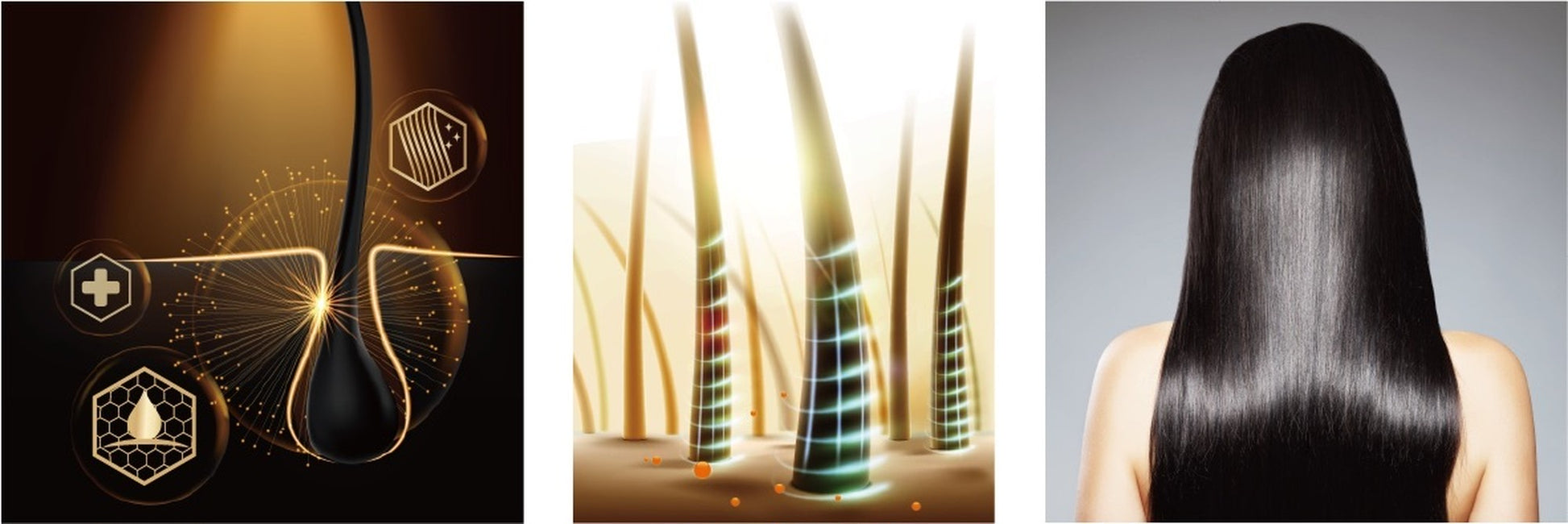 スキンケアはお肌の食事！赤紫蘇の香りと良質な椿オイルで艶やかな髪へ／スキンレメディ コンプリートシャンプー 300ml／SHIZOOJU｜シズージュ【福岡県】 - 和精油のある暮らし